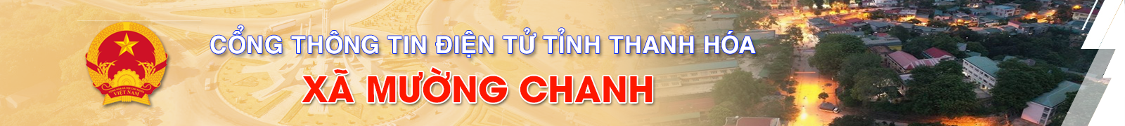 image banner